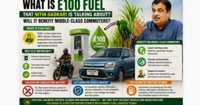 What Is E100 Fuel That Nitin Gadkari Is Talking About?